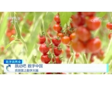 山西省两会关注数字农业，构建乡村振兴的数字蓝海